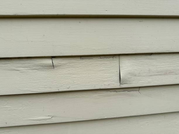 Best Property Management Cleanouts  in Owensville, IN